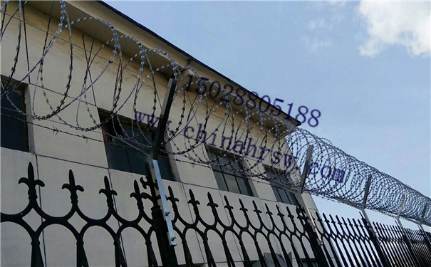 監(jiān)獄護欄網(wǎng)